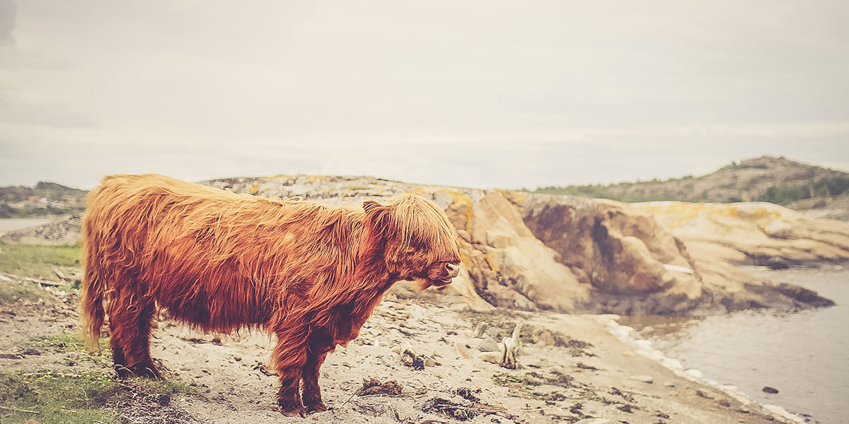 unsplash_52b5ec8515a34_1