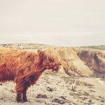 unsplash_52b5ec8515a34_1