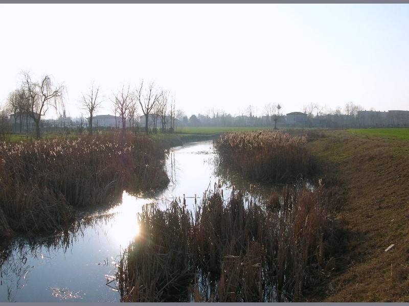 Argini erbosi, aree umide, canne depuratrici, casse di espansione: rinaturalizzazione.