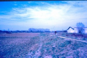 troso da Cansiero a Fabbris