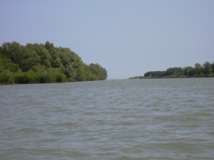 18orizzonte libero in vista del mare presso la foce
