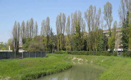 Foto 2. : Uno scorcio del ramo sud nei pressi del vecchio ospedale Umberto I. La riva sinistra è occupata dal Parco pubblico di via Einaudi