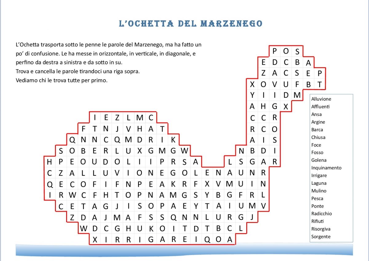 Ochetta-001 B