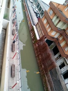 04_19_IMG_20171201_113306 compressa