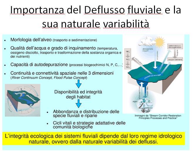 Deflusso fluviale