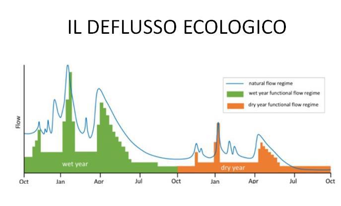 Deflusso ecologico