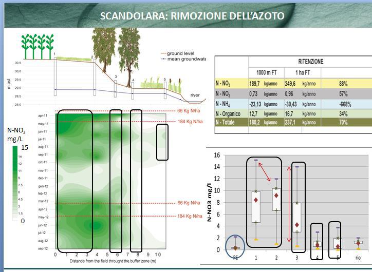 Rimozione dell'azoto
